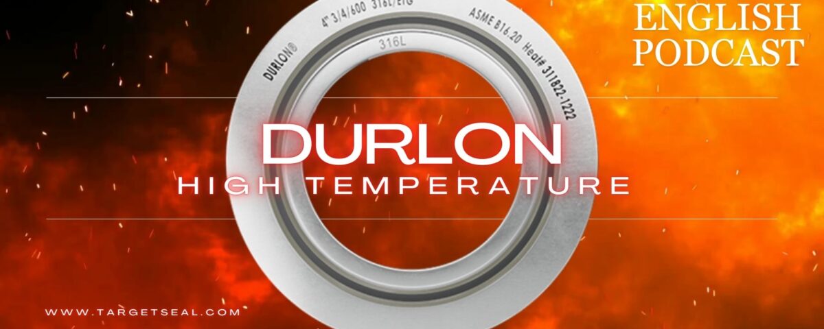 Durlon® Extreme Temperature Gaskets (ETG)