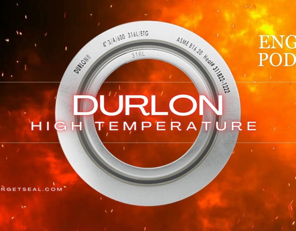 Durlon® Extreme Temperature Gaskets (ETG)